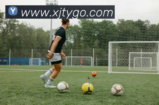 小金体育APP 封面图